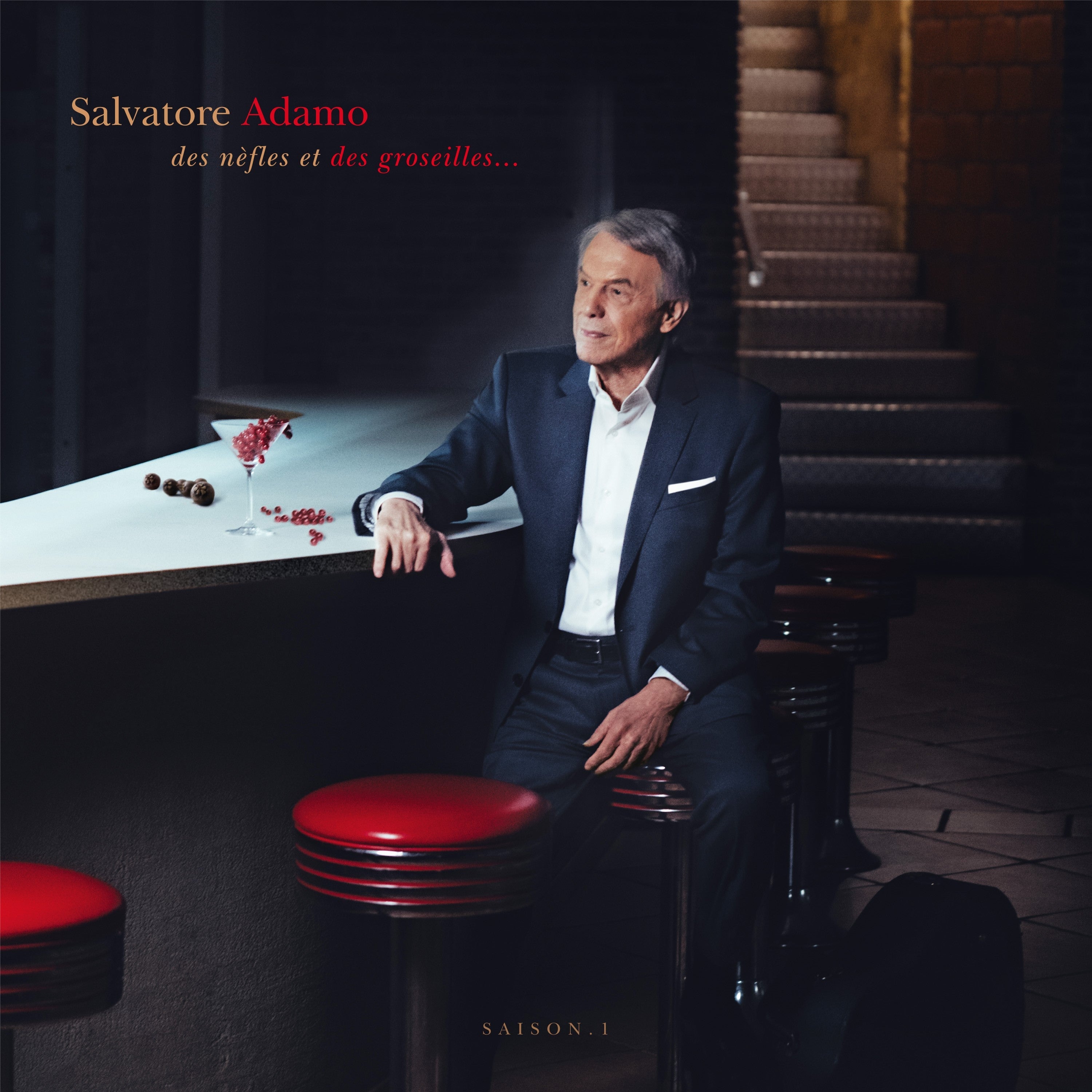 Salvatore Adamo - Des nèfles et des groseilles - 2CD