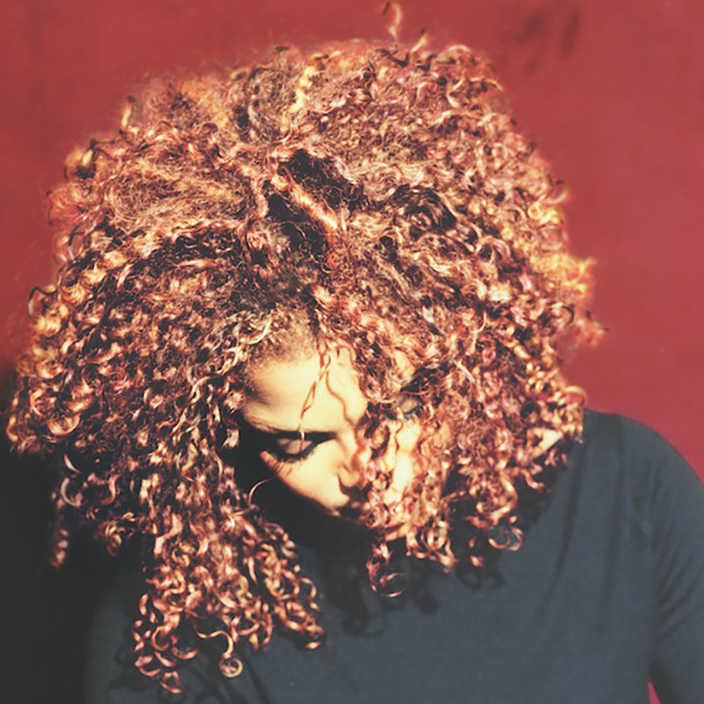 Janet Jackson - The Velvet Rope - Double Vinyle