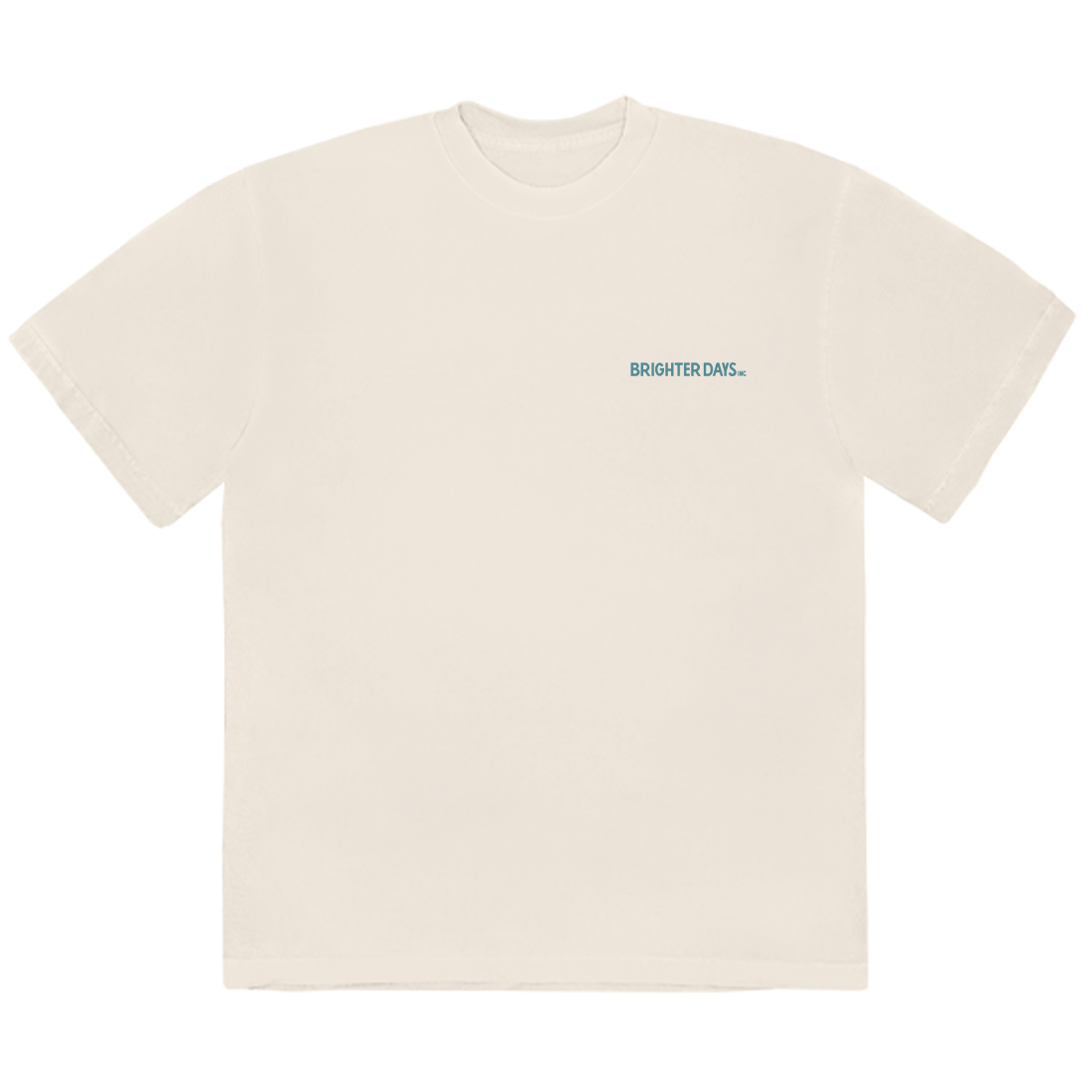 Ariana Grande - 934-33-ERASE T-Shirt