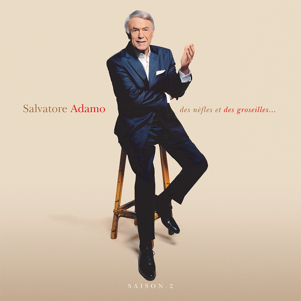 Salvatore Adamo - Des nèfles et des groseilles - Saison 2 - Double Vinyle