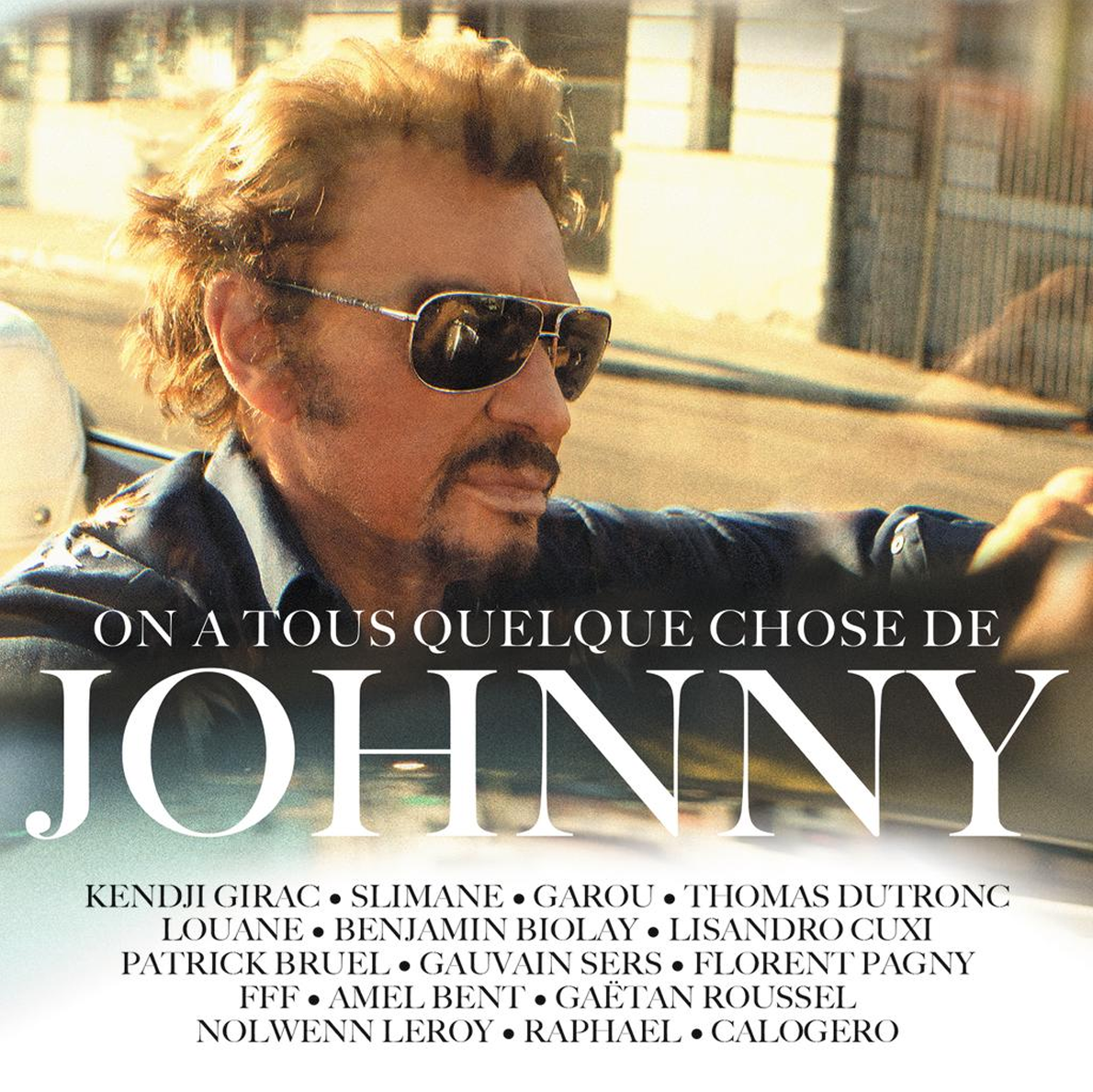 Johnny Hallyday - On a tous quelque chose de Johnny - Double Vinyle