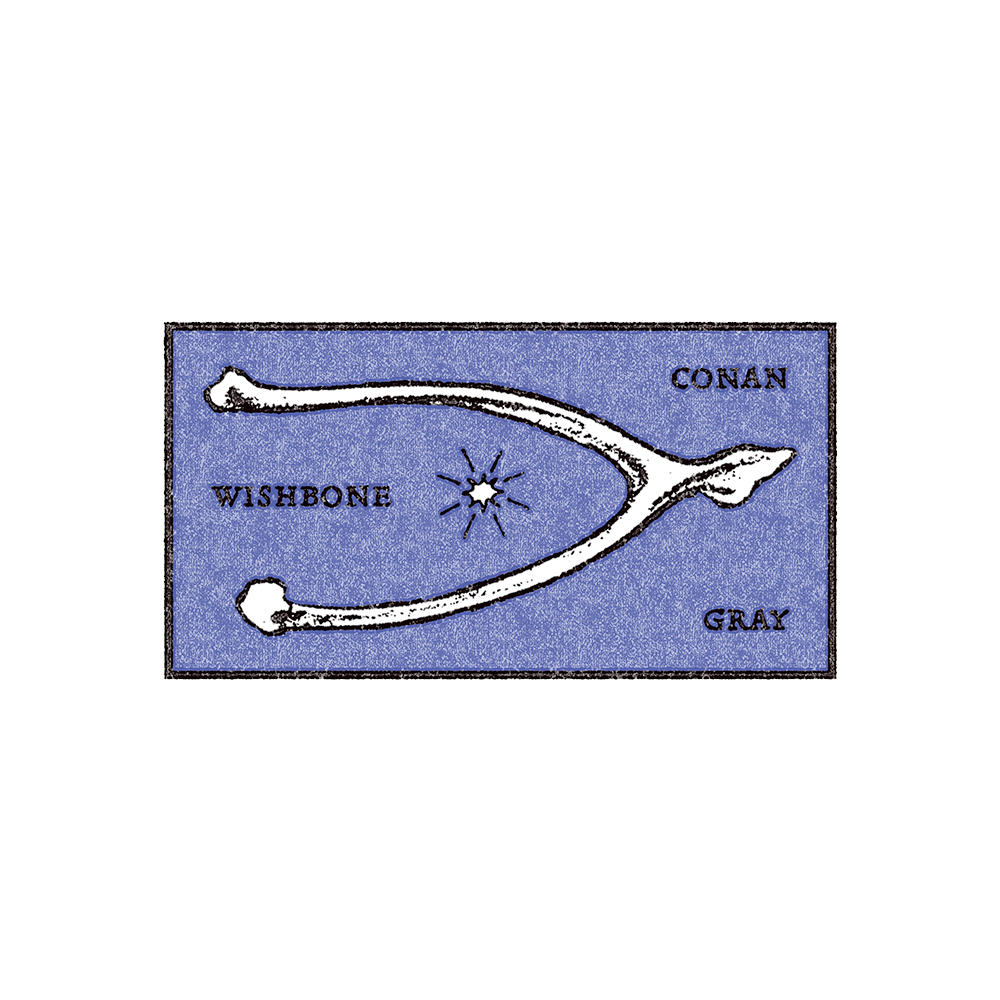 Conan Gray - Wishbone Navy Hoodie