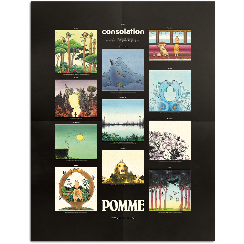 Pomme - Consolation - Vinyle avec poster