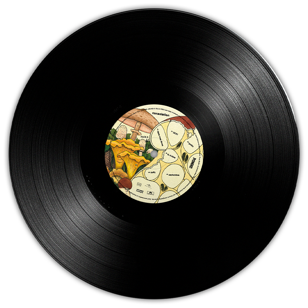 Pomme - Consolation - Vinyle avec poster